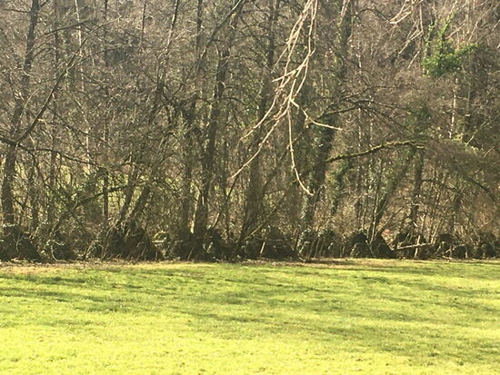 nach ca. 7 km ist das ehemalige Zollhaus am Grenz+übergang wieder erreicht