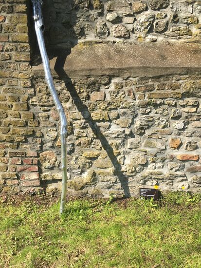 Raimund van Well (1953-2017) - Treibholz - 2010