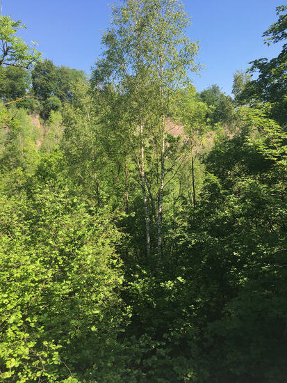 Einblicke in das Steinbruchgelände