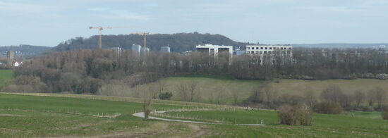 der Blick geht auf den Wingertberg, an dessen unterem Rand die Magerwiese zu erkennen ist. Oberhalb des Wingertbergs (Wald) lugen die zahlreichen Neubauten des Campus Melaten (RWTH Aachen) hervor. 
Dahinter ist der langgestreckte Hügel des Lousbergs (s.späteres Kapitel) zu sehen.