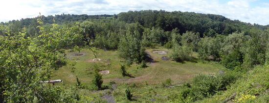 Freifläche der Halde