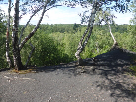 am oberen Rand des Steilhangs