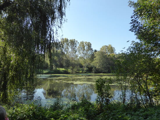 Zahlreiche Weiher säumen den Weg