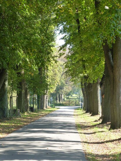 auch von der anderen Seite ist der Zugang versperrt