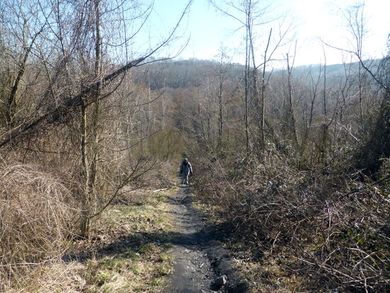 der Aufstieg beginnt gemächlich über einen schmalen Pfad. .- Blick auf die größte Halde Anna II