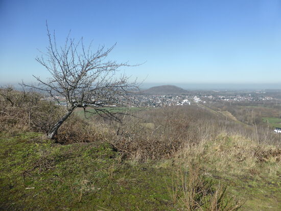 Bergehalden von Merkstein