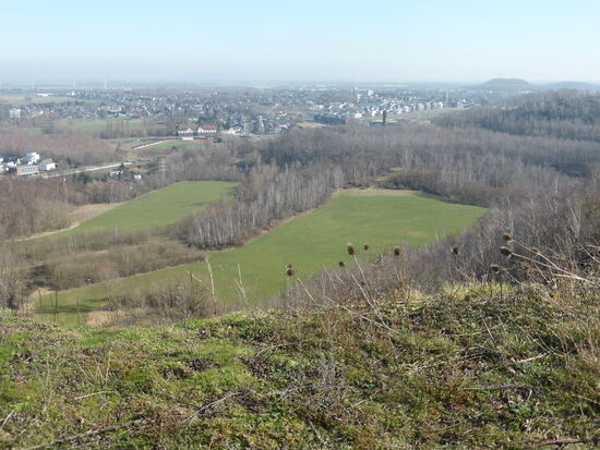 hinter den Wiesen ist der Turm des Energeticons zu sehen
