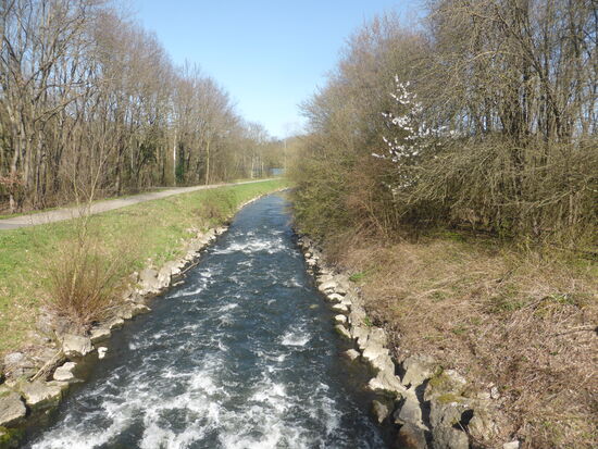 die kanalisierte Wurm