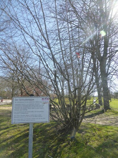 doch zunächst eine neue 'Erfindung/ Entdeckung'