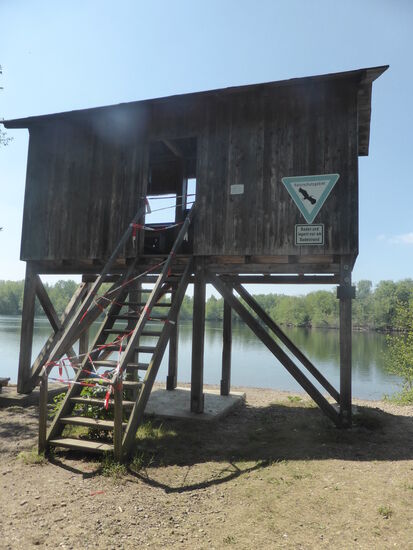 am Ende des Rundganges finden wir einen Tierbeobachtungsstand, der z.Zt wegen Corona ebenfalls abgeriegelt ist.