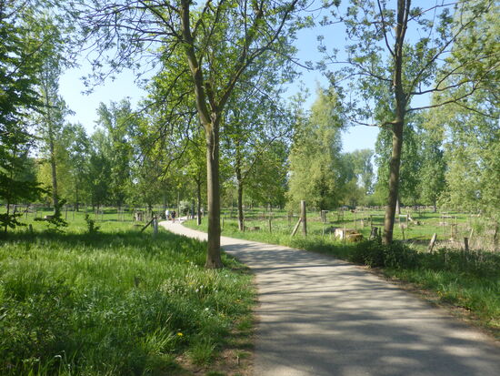 durch das angelegte Überschwemmungsgebiet