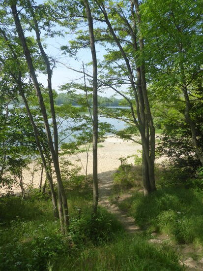 der Lucherberger See bot an seinem Nord-Ost Ufer Möglichkeiten, einige Stunden in der Sonne zu verweilen und dabei den Seglern und Surfern auf dem See zuzusehen. Nun ist alles abgezäunt (Corona)