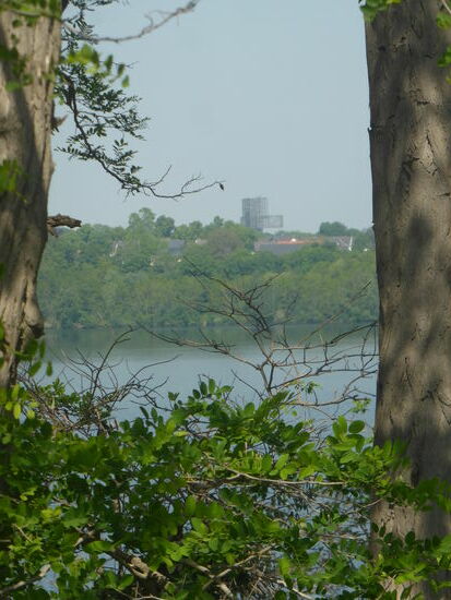 an einigen Stellen gibt das Dickicht noch einmal einen Blick auf den Indemann frei