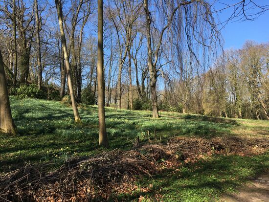 der Müsch-Park liegt am nördlichen Hang des Lousberges
