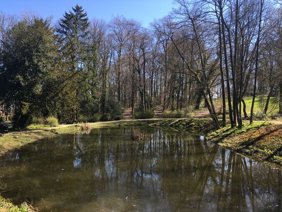 Nahe dees Purweider Weges endet die Rundtour am Teich von Gut Obere Müsch.