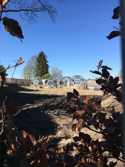 alte Gewächshauskuppeln am Fuße des Lousbergs