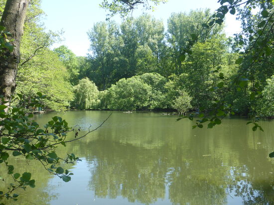 Der Rundgang durch den Tierpark ist wegen der Corona-Vorschriften als Einbahnverkehr angelegt