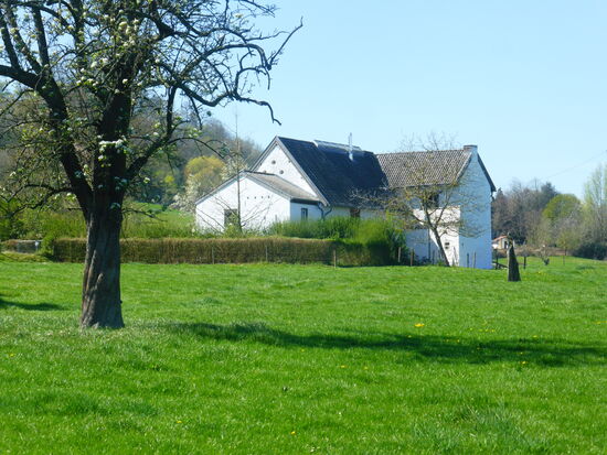 mittlere Müsch - unterhalb (außerhalb des Parks)