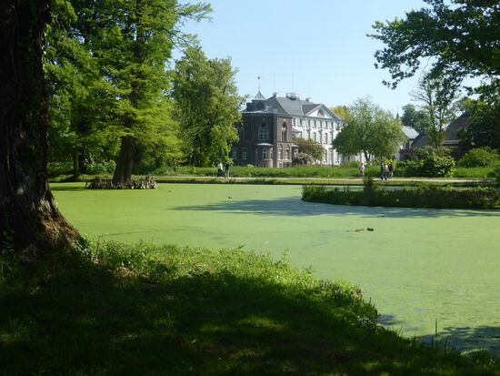 entfernter Blick auf das Privatgelände des Grafen