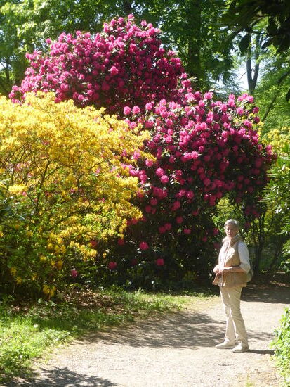 man braucht schon einen Vergleichsmaßstab