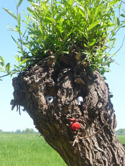 die Dekoration der beschnittenen Weide erinnert an unseren Teufelspfad in Ahrweiler