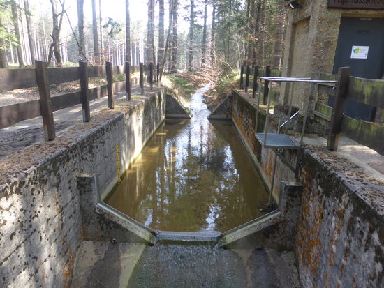 Hasselbachhanggrabenzufluss