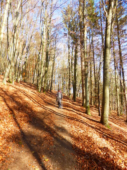 dann wird der Weg etwas schmaler und fällt leicht ab