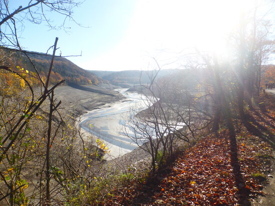 wir folgen dem asphaltierten Weg bis zur halben Höhe, werfen einen letzten Blick zurück und wechseln dort wieder auf den Waldweg