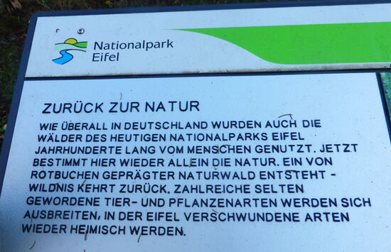 man will in den Wald und seine Entwicklung  nicht eingreifen