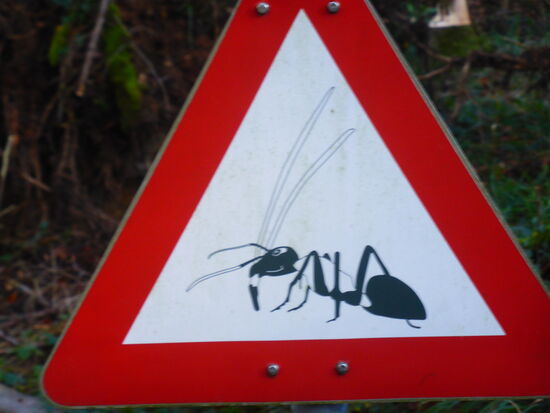 und anderen die 'Arbeit' überlassen