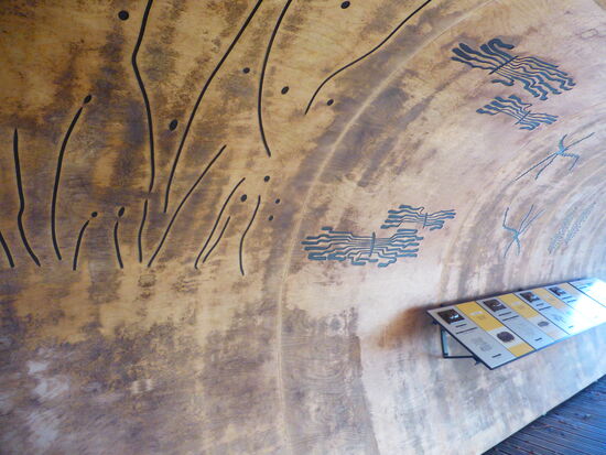 Käfer sind die artenreichsten tierischen Vertreter im Nationalpark. Von der Krone bis zum Boden hat sich jede Art einen speziellen Lebensraum erobert. Viele machen Jagd auf Insekten, Würmer, Spinnen oder andere Käfer. Manche ernähren sich von Aas. Die meisten sind auf pflanzliche Nahrung und abgestorbene Bäume spezialisiert.
Nur wenige Käferarten befallen die Rinde und das Holz noch lebender Bäume und legen hier ein Gangsystem an, in dem sich die Larven entwickeln. Jedes Fraßbild ist arttypisch und verrät sofort, wer es angelegt hat.