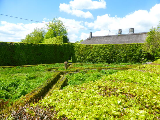 ein akkurat angelegter Bauerngarten ist leider etwas verwildert