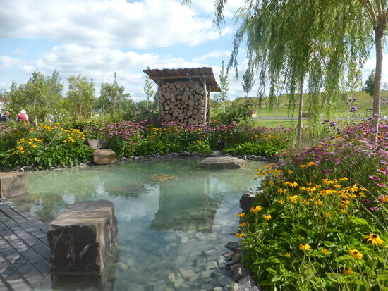 kleiner Wassergarten
