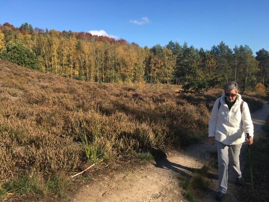 auf der Hochebene angekommen