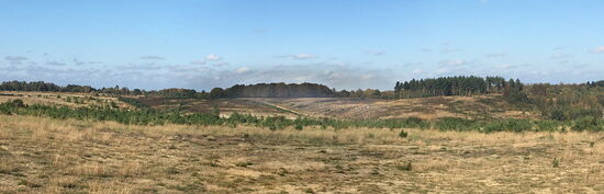 bietet sich ein Rundumblick