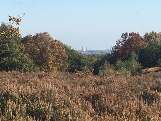 Blick nach Osten über das Maastal hinüber in die Niederlande (Dampfturm)