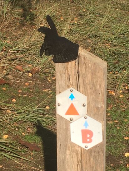 im Nationalpark sind die Routen vorbildlich ausgeschildert - der gefundene Handschuh wurde kuinstvoll mit Hasenohren drapiert