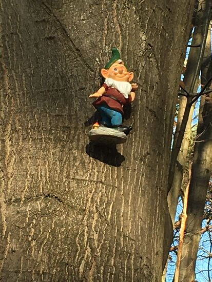 Zwerge versteckt an Baumstämmen