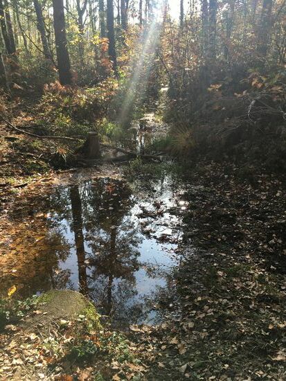 Bäche durchziehen den Park