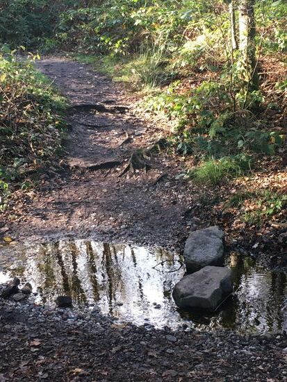 und wollen überquert werden