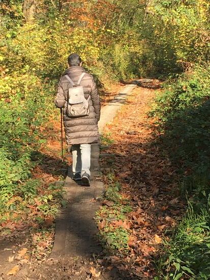 dann folgt eine lange Passage durch ein Feuchtbiotop über Holzbohlen, die mit Drahtgeflecht gegen Rutschen geschützt sind
