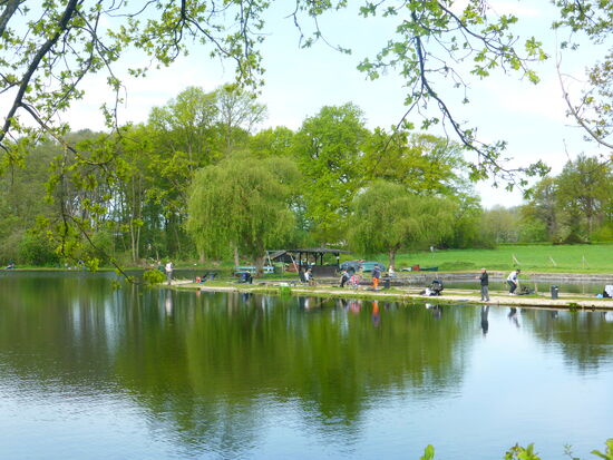 Der Weiher gegenüber der Ölmühle ist Anglern vorbehalten.