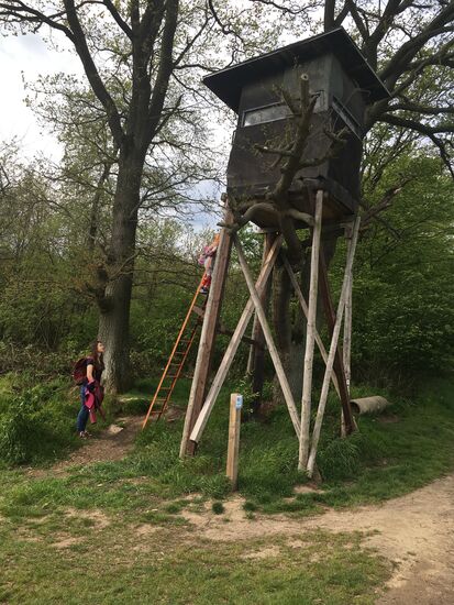 der Ministrops muß  auf den Hochstand - Miutter staunt von unten