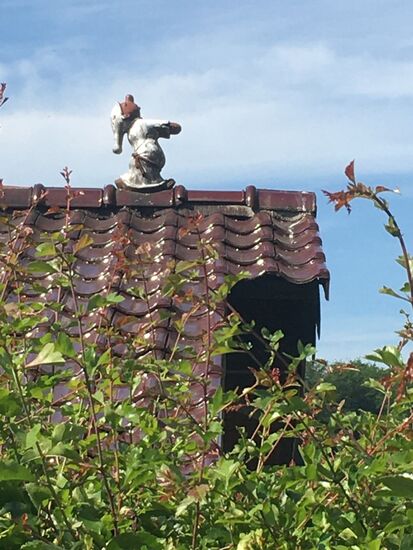 ein Schlafwandler auf einem Dach (fällt meiner Frau Ulrike auf)