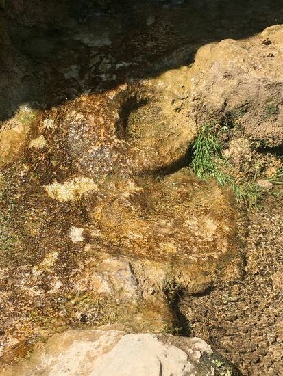 selbst #blow-holes' sind zu sehen