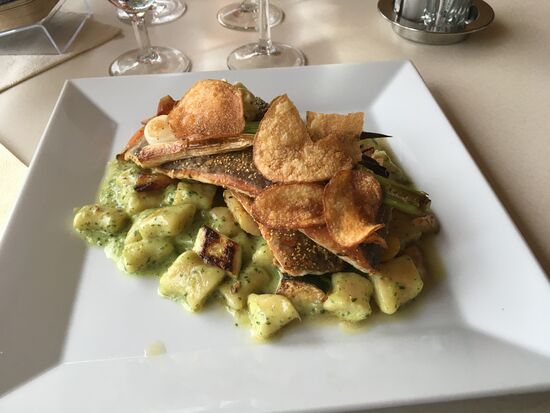 Zander auf Kräutergnocchi