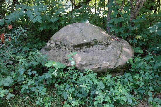 Untertasse? - Erosion?