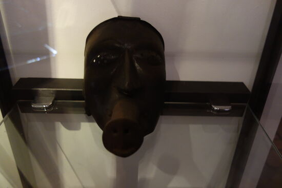 Das Tragen der Schandmaske gehörte dem Bereich der niederen Gerichtsbarkeit als Form der Ehren- und Schandstrafen an. Sie wurde vor allem für so genannte Rededelikte, etwa Beleidigung oder Verbreitung von Lügen verhängt. Deshalb verfügten Schandmasken auch oft über eine lange Zunge oder einen langen Rüssel und manchmal auch über lange Ohren (Lauschen an fremden Türen).