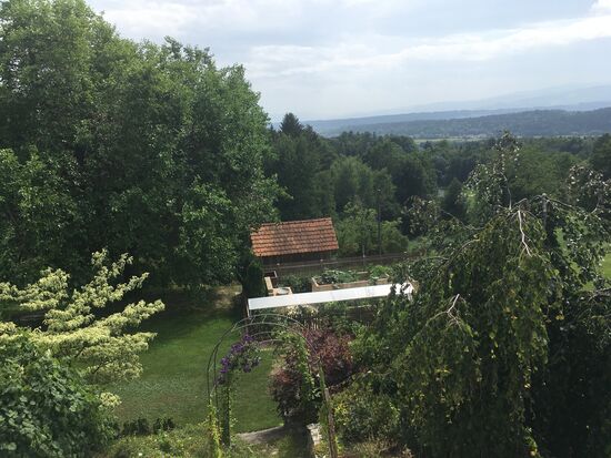 Hochbeet mit Tomaten und Gemüse zur Selbstbedienung