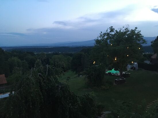 Abendbeleuchtung in den Bäumen